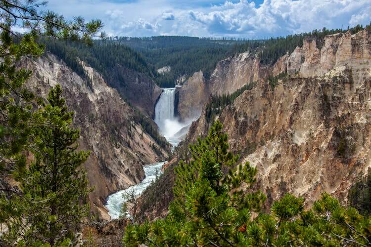 Yellow stone national park